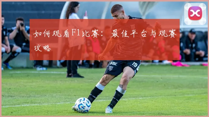 如何观看F1比赛：最佳平台与观赛攻略