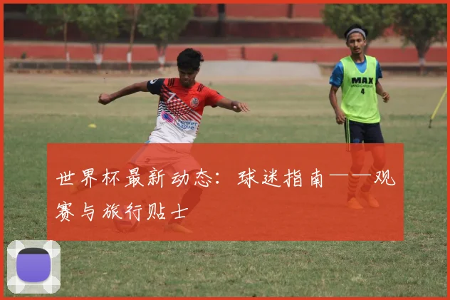 世界杯最新动态：球迷指南——观赛与旅行贴士