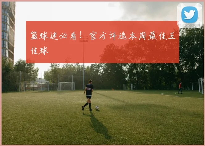 篮球迷必看！官方评选本周最佳五佳球